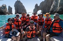 Los Cabos Whale Watching (Transportation and Pictures Included)