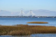 Charleston Bird Watching Tour 