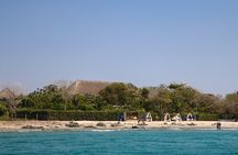 Blue Apple Beach Day: Sun, Music & Adventure from Cartagena