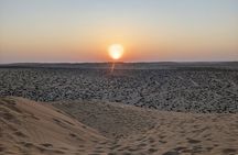 Desert Safari in Empty Quarter with Dune Bashing 