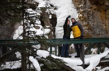 Johnston Canyon Frozen Waterfalls & Banff Backroads Wildlife Tour