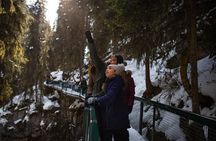 Johnston Canyon Frozen Waterfalls & Banff Backroads Wildlife Tour