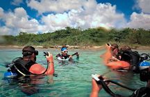 Discover Scuba Diving in Cozumel Paradise Reef