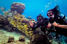 Discover Scuba Diving in Cozumel Paradise Reef