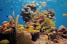 Discover Scuba Diving in Cozumel Paradise Reef