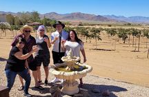Scenic Desert Wine Distillery Brewery Route 66 Tour