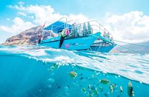 Hawaii Snorkeling with Turtles Boat Tour in Waikiki