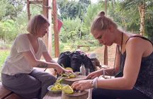 Full Day Visit & Cook at Local family' farm and Hiking to Kuang si waterfalls 