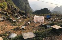 Private 3 Days and 2 Nights Tour in Ha Giang's remote borderlands with Guide 
