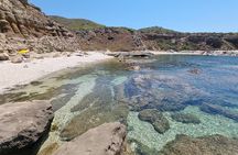 Wild Beaches & Snorkeling Tour