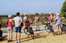 E-Bike Family Tour: CitySightseeing Playa Ingles,Maspalomas Dunes