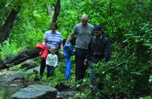 5-Days Private Kerala Tour with Sightseeing Tickets