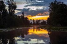 Xochimilco Sunrise from Mexico