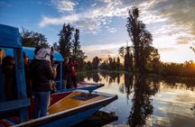 Xochimilco Sunrise from Mexico