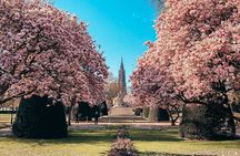 Guided Walking Tour in Strasbourg between History and Curiosities