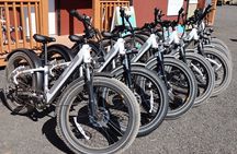 Pedal and Paddle Wine Tour in Arizona