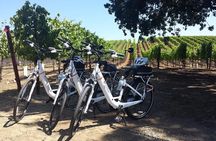 Pedal and Paddle Wine Tour in Arizona