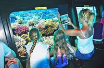 Royal SeaScope: Semi-Submarine Discovery Tour – Sharm El Sheikh