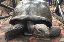 Full-Day Private Stone Town Spice Farm and Prison Island Tour