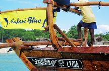 Full Day Private Sand Bank and Blue Lagoon (Safari Blue) 