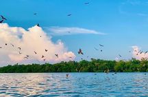 Instagrammable Kuala Selangor Sky Mirror Tour with Transfer
