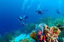 2 Tank Guided Dive half-day