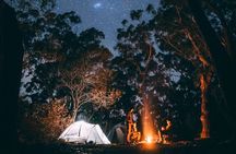 Yosemite Classic Camping Trips