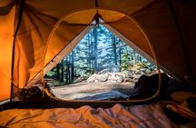 Yosemite Classic Camping Trips