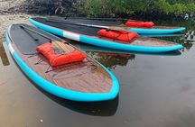 Dolphin and Manatee Adventure Tour of Sarasota with Olde Florida History!