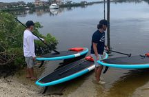 Dolphin and Manatee Adventure Tour of Sarasota with Olde Florida History!