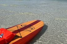 Dolphin and Manatee Adventure Tour of Naples with Florida History