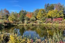 Central Coastal Maine Private Day Tour