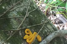 Tropical Hike in the Gandoca-Manzanillo wild life Refuge