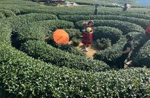 Mai Chau-Moc Chau 4 Day Tour with Glass Bridge -Guinness World Records