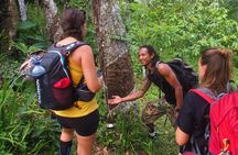 2-Day Jungle Trekking & Rafting in North Sumatra