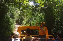 Iguazu Falls: Argentinian Side with Boat Ride, Jungle-truck and Train
