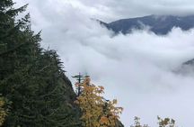 Olympic National Park, Snoqualmie Falls 2-Day Tour from Seattle
