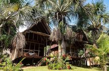3-Day Pacaya Samiria Amazon Nature Reserve from Iquitos