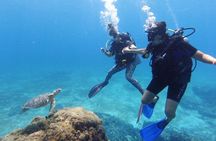 2 Tank Cozumel Reef Boat Dives