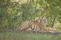 Bardia National Park package with Tiger Tops Karnali lodge