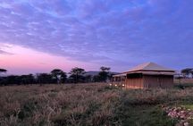 Big Five Dream Safari