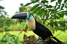 5-Day Waorani Yasuni Kayak Expedition