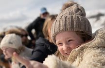 Full Day Private Elk Refuge Sleigh Ride and Wildlife Art Museum Tour