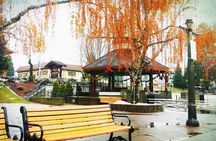 Leavenworth, Mount Rainier National Park 2-Day Tour from Seattle