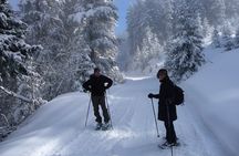 Full-day Vitosha Mountain Snowshoe Hiking Tour from Sofia
