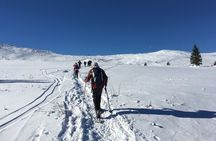 Full-day Vitosha Mountain Snowshoe Hiking Tour from Sofia