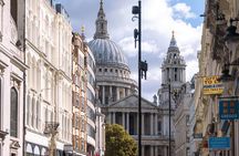 London Day Tour with a Local Guide: Private & Tailored to Your Interests 