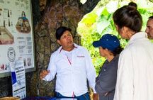 Medellin Coffee Tour & Spa