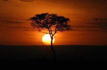 Mountain Kilimanjaro Trekking 7 Days Lemosho Route