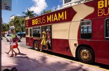 Best of Miami Combo: Everglades, Bay Cruise, & Open-top Bus Tour